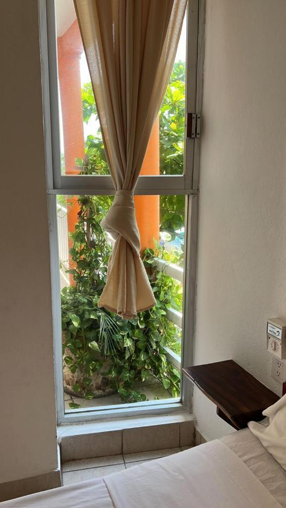 Casa Piedra Parada 푸에르토 에스콘디도 외부 사진